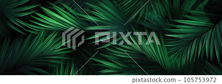 Background from green palm leaves Background from green palm leaves 105753972