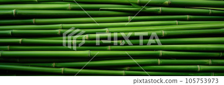 Horizontal green bamboo background texture 105753973