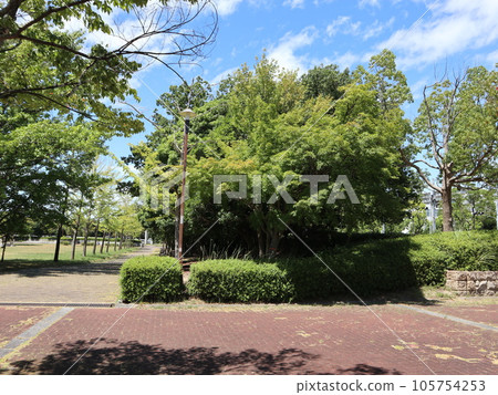 August: Seishin Chuo Park, Nishi Ward, Kobe City, 5 minutes from the station August: Seishin Chuo Park, Nishi Ward, Kobe City, 5 minutes from the station 105754253