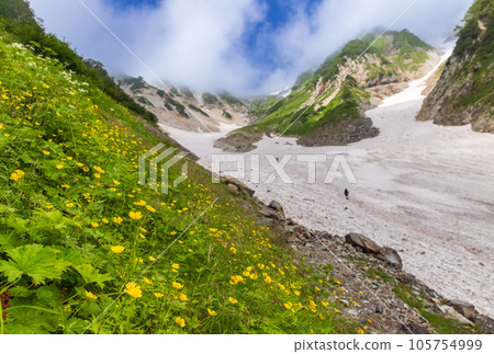 夏日百花盛開的白馬大石景 105754999