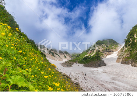 Hakuba Daisekkei in summer when flowers bloom 105755003