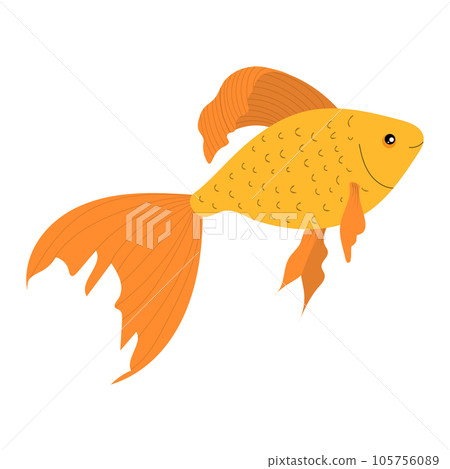 Cartoon golden fish isolated on white background.  105756089