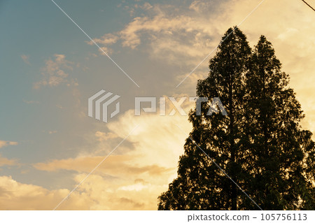 與日出天空的風景照片 105756113