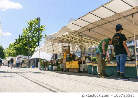 230804 Miyagawa morning market illustration 5z056 105756583