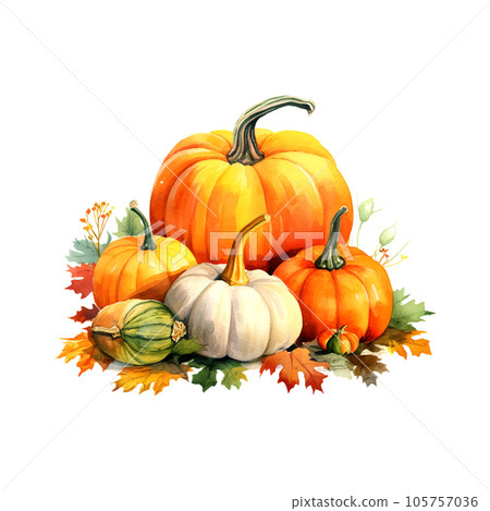 Rustic pumpkin watercolor autumn still life for celebration design. Organic food. Cozy home decor. Modern interior. 105757036