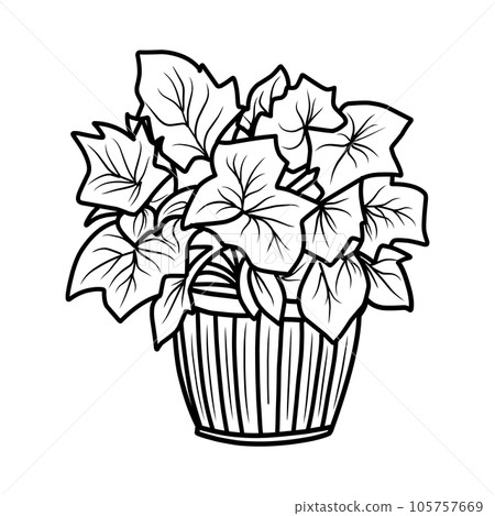coloring page.Autumn foliage coloring book, black and white linear illustration 105757669