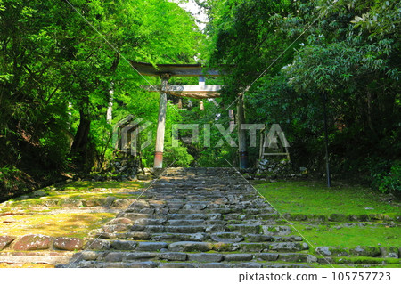 [Fukui Prefecture] Approach to Heisenji Hakusan Shrine 105757723
