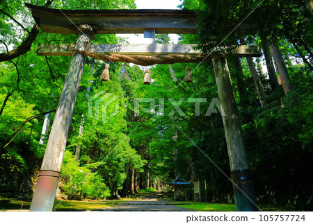 [Fukui Prefecture] Approach to Heisenji Hakusan Shrine 105757724