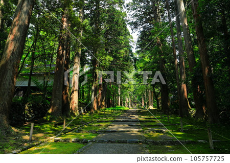[福井縣] 平泉寺白山神社的參觀路線 105757725