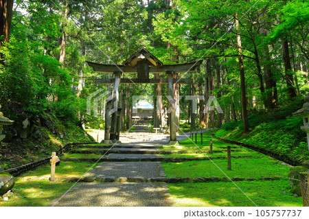 [福井縣] 平泉寺白山神社第二鳥居和參拜殿 105757737