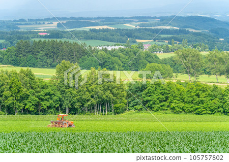 富良野 田園風光 山丘 農耕 105757802