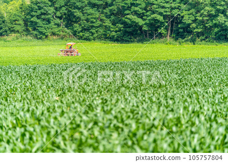 富良野 田園風光 山丘 農耕 105757804