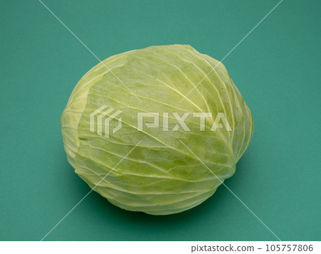 summer cabbage 105757806