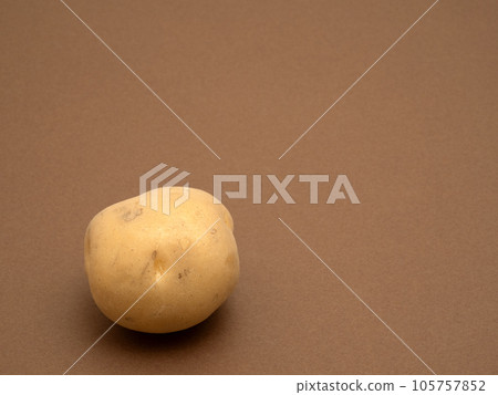 生土豆 生土豆 105757852