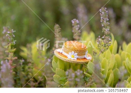 Flower field and little summer hat 105758497