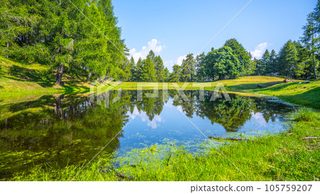 Mountain pond Roccoli Lorla in lush green forest landscape of Bergamo Alps, Italy 105759207
