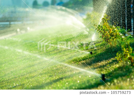 Watering Park grass automatic Sprinkler irrigation on sunrise or sunset.  Watering the lawn at dawn. The gushing of lawns at dawn 105759273