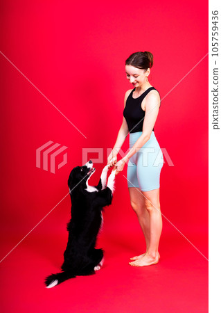 Puppy learning to obey. Dog training, owner giving prize to dog. Isolated background, border collie 105759436