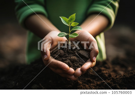 Child holds a small blooming plant in hand. Child holds a small blooming plant in hand. 105760003