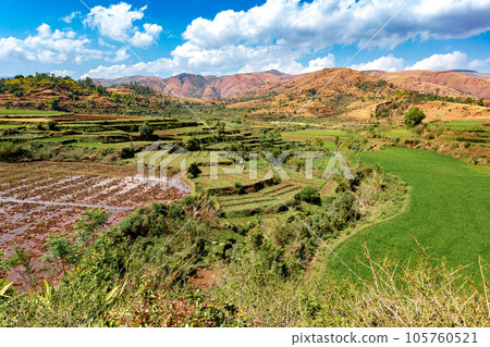 Central Madagascar landscape - Betafo, Vakinankaratra Madagascar Central Madagascar landscape - Betafo, Vakinankaratra Madagascar 105760521