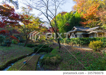 Autumn in Honmoku, Yokohama Sankeien Garden with colored leaves Autumn in Honmoku, Yokohama Sankeien Garden with colored leaves 105760878
