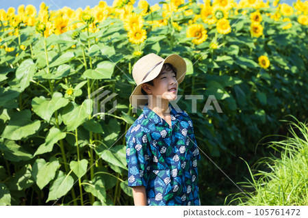 向日葵田和孩子們 105761472