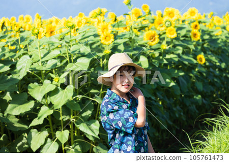 向日葵田和孩子們 105761473