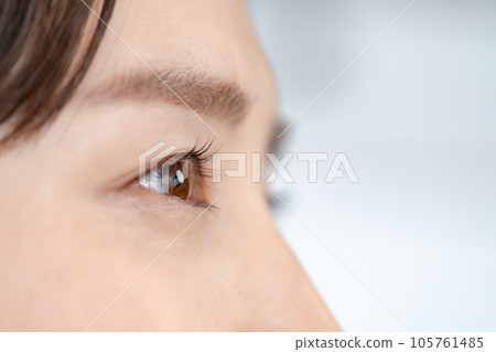 女性的眼睛 105761485