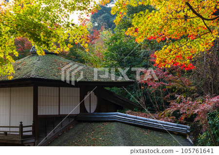 橫濱本牧三溪園的秋天，秋葉長秋閣 105761641