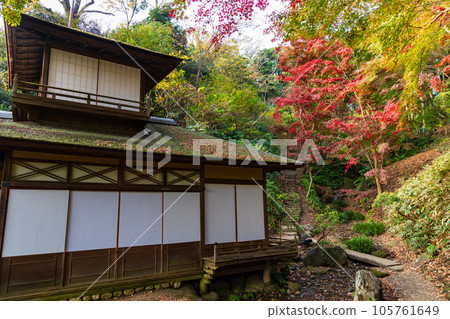 橫濱本牧三溪園的秋天，秋葉長秋閣 105761649