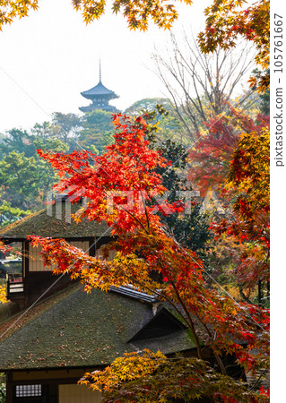 橫濱本牧三溪園的秋天，秋葉長秋閣 105761667