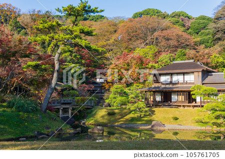 紅葉橫濱本牧園的秋天 105761705