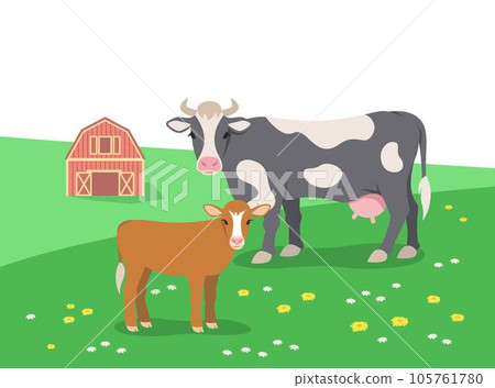 Cow and calf grazing in the summer flower meadow. Farm barn in the distance. Free range cattle, eco farming concept. Flat stylized illustration 105761780