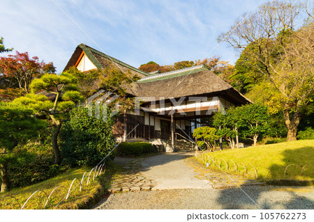 橫濱本牧的秋天,三溪園的紅葉映入眼簾 橫濱本牧的秋天,三溪園的紅葉映入眼簾 105762273