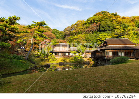 紅葉橫濱本牧園的秋天 105762284