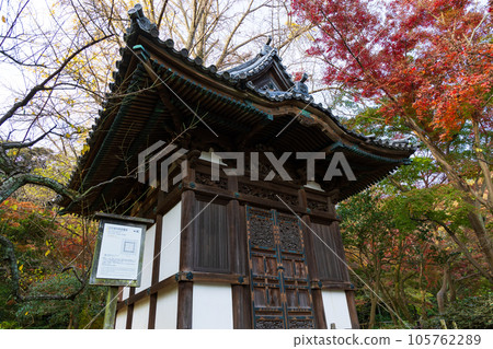 Autumn in Honmoku, Yokohama Sankei-en with autumn leaves Old Tenzui-ji Temple Kotobudo Autumn in Honmoku, Yokohama Sankei-en with autumn leaves Old Tenzui-ji Temple Kotobudo 105762289