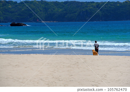 Izu Peninsula, Minamiizu, Iritahama, an elegant beach reminiscent of an overseas resort, scenery with dogs Shimoda City, Shizuoka Prefecture (3) 105762470
