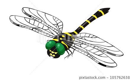 Illustration of Onyanma _ Diagonal upper _ Feather transmission Illustration of Onyanma _ Diagonal upper _ Feather transmission 105762638