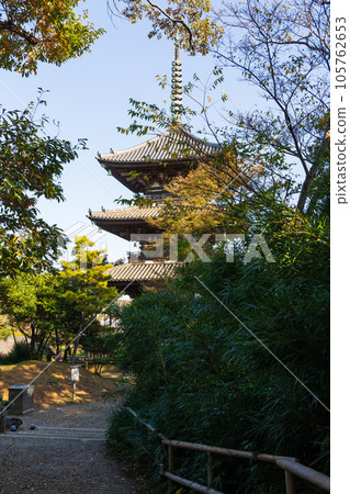 秋天的橫濱本牧三溪園紅葉三層寶塔 105762653