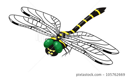 Onyanma's illustration_Diagonal top_Hajiro 105762669