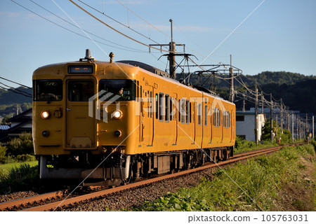 Two 115 series ordinary trains running on the Hakubi line Two 115 series ordinary trains running on the Hakubi line 105763031