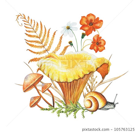 Autumn forest watercolor composition. Illustration with mushrooms,flowers,dry leaves, snail. Autumn forest watercolor composition. Illustration with mushrooms,flowers,dry leaves, snail. 105763125