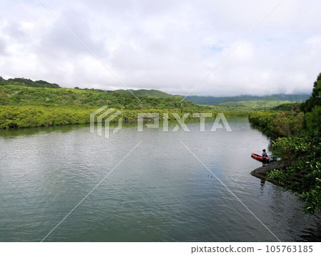 仲間川西表島景觀(沖繩縣) 仲間川西表島景觀(沖繩縣) 105763185