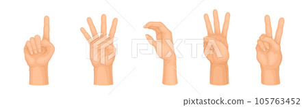 Human Hand Showing Gestures and Signs Vector Set Human Hand Showing Gestures and Signs Vector Set 105763452