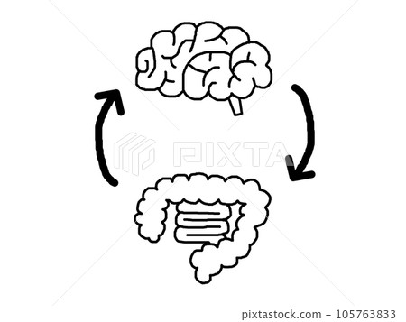 Hand-drawn illustration of brain, large intestine, small intestine and arrow_monochrome Hand-drawn illustration of brain, large intestine, small intestine and arrow_monochrome 105763833