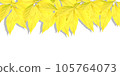 Autumn background foliage bright yellow white background simple template 105764073