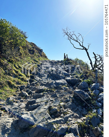 從山路上仰望藍天 從山路上仰望藍天 105764471