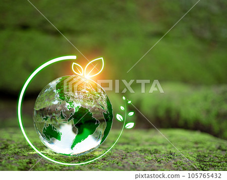 Crystal ball on moss in green forest. Environment concept Ecology and Sustainable Environment of the World. Earth day concept. 105765432