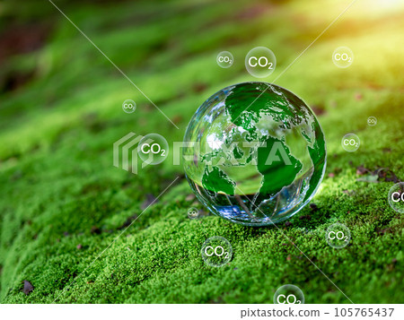 Crystal ball on moss in green forest. CO2 emission reduction concept, clean and friendly environment without carbon dioxide emissions. Planting trees to reduce CO2 emissions, environmental protection 105765437