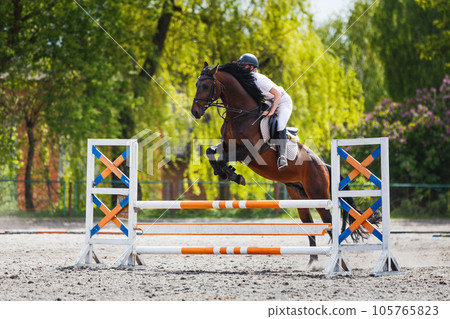 Young female rider jumping over obstacle on her show jumping competition 105765823